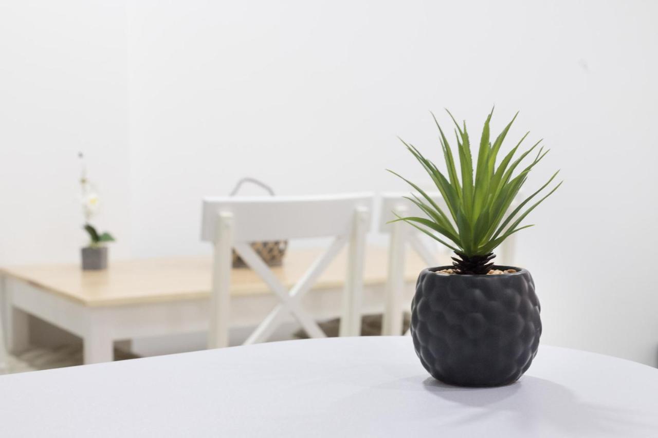 Moonkey - Apartamento Amaralba A Alicante Kültér fotó